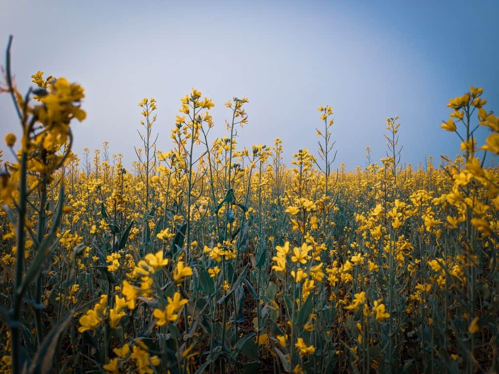 Best Time to Visit Salt Lake City, Utah, Weather Year Round Sandy