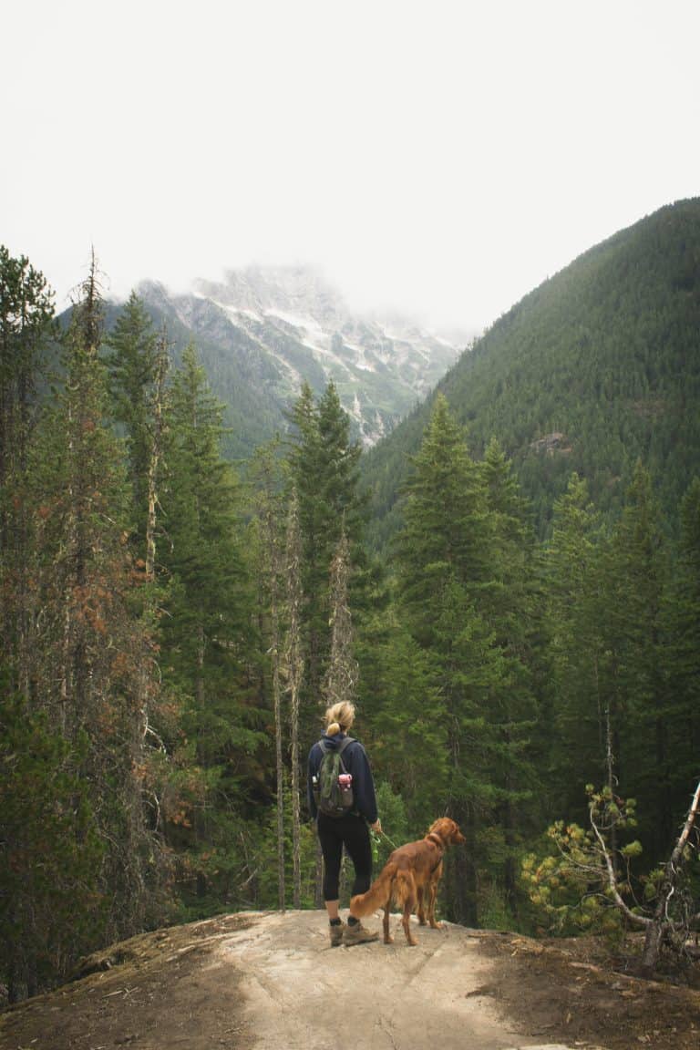 The 6 Best DogFriendly Hikes in Utah Sandy City Storage in Sandy City