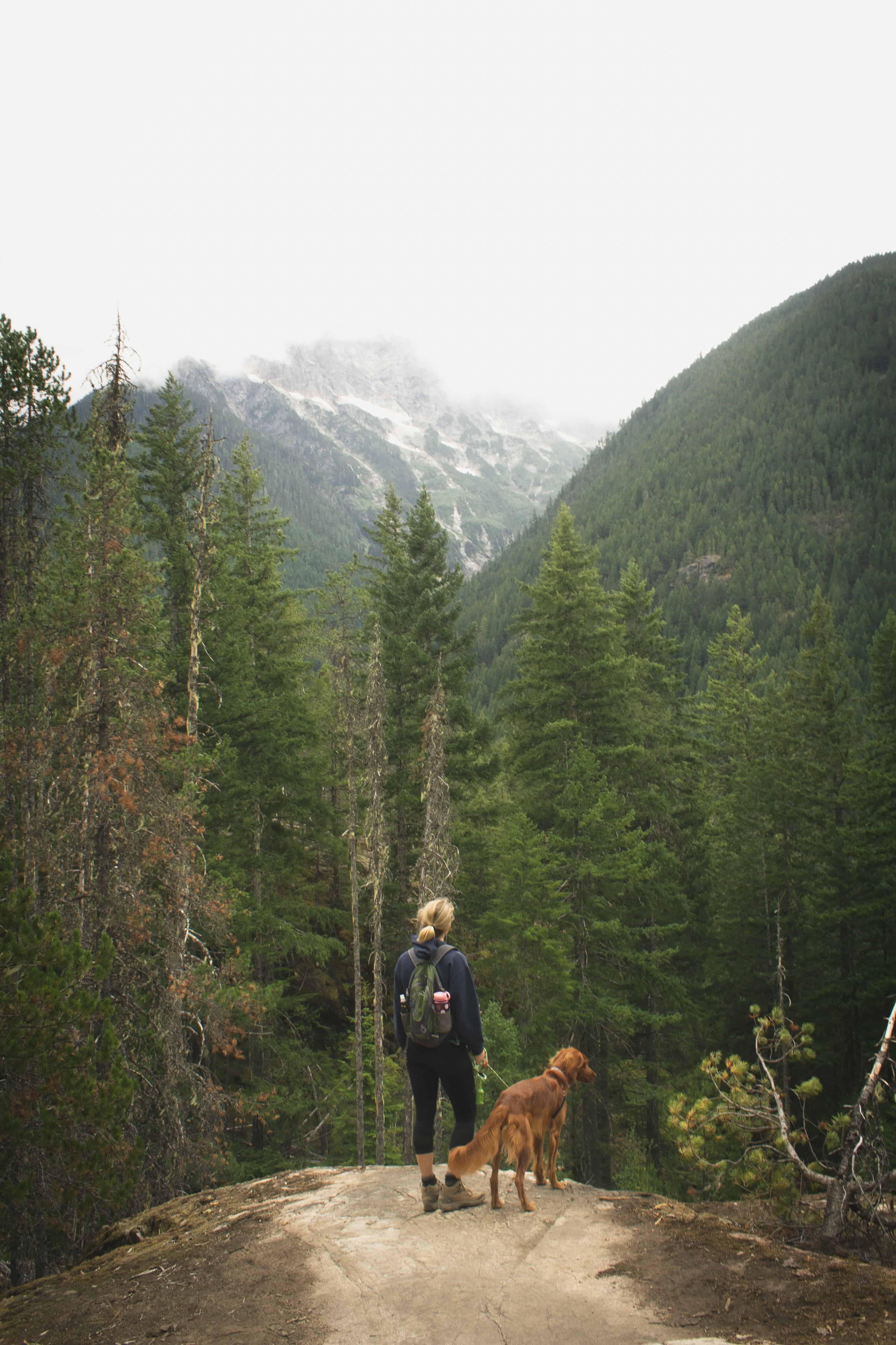 Best place to 2024 hike with your dog